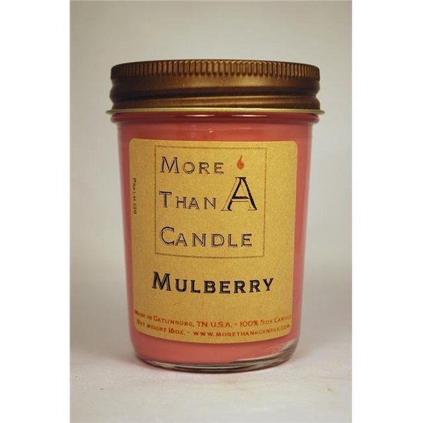 More Than A Candle More Than A Candle MBY8J 8 oz Jelly Jar Soy Candle; Mulberry MBY8J